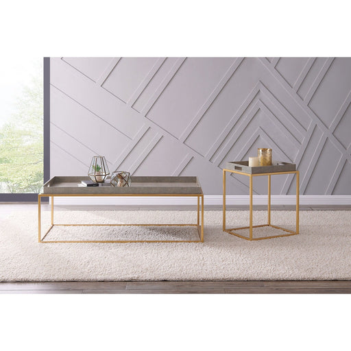 New Pacific Direct Feyre Faux Shagreen Removable Tray Coffee Table 1600046