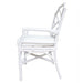 New Pacific Direct Kara Rattan Arm Chair 2400028-W