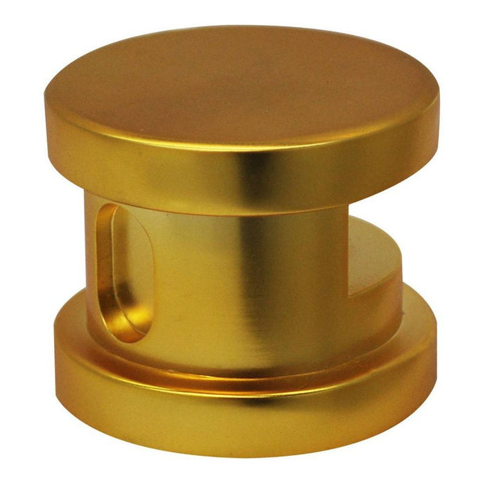 SteamSpa Indulgence Control Kit in Polished Gold INPKGO