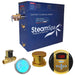 SteamSpa Indulgence 4.5 KW QuickStart Acu-Steam Bath Generator Package with Built-in Auto Drain in Polished Gold IN450GD-A