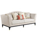 Acme Furniture Tayden Sofa W/5 Pillows in Beige Velvet LV01155