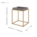 New Pacific Direct Feyre Faux Shagreen Removable Tray End Table 1600047