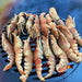 Grill Grate 10”Ø For 20" Arteflame Grills
