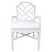 New Pacific Direct Kara Rattan Arm Chair 2400028-W
